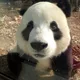 블루