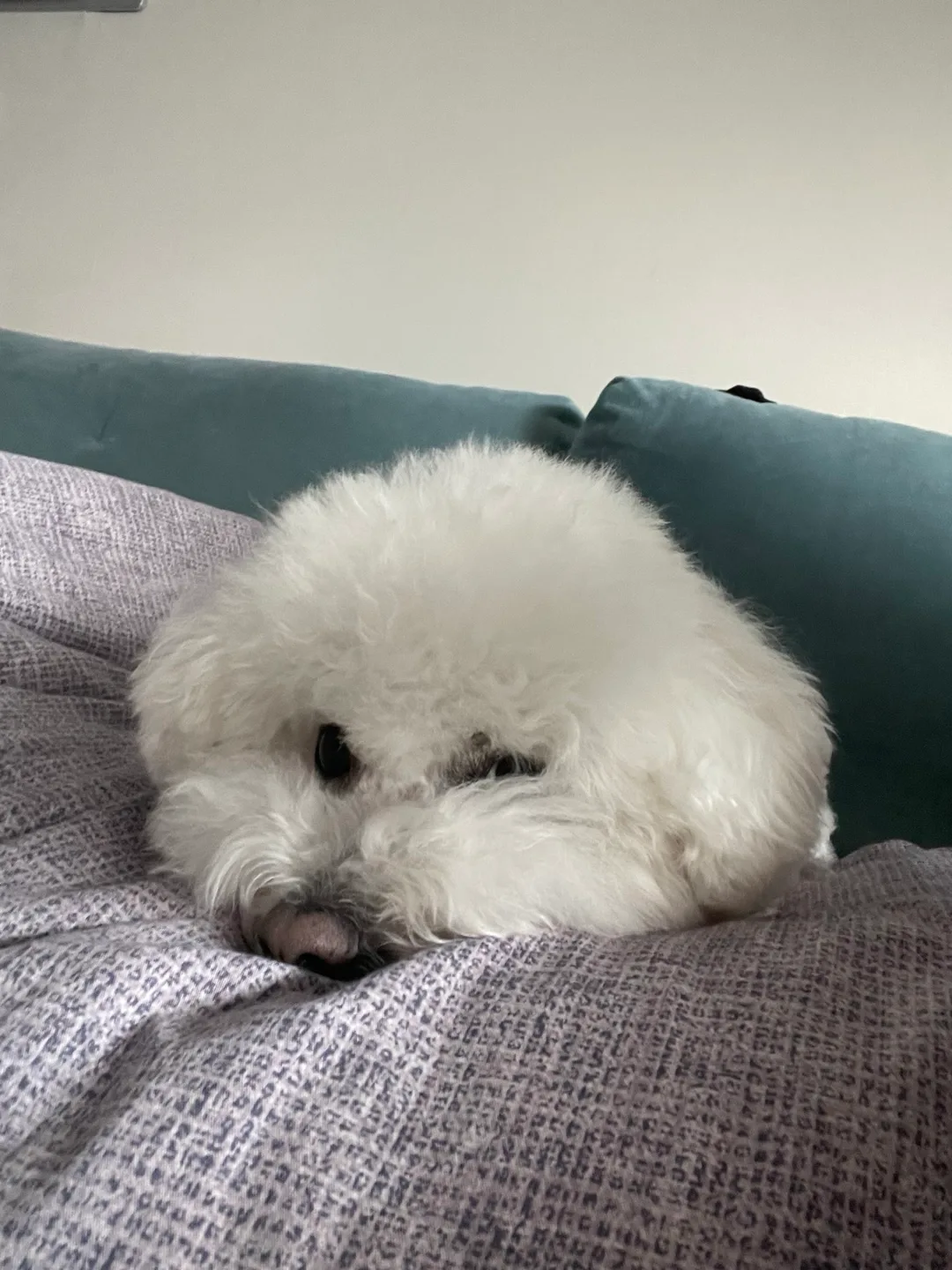 파도파도끝이없네