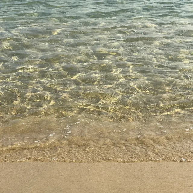 자양동동