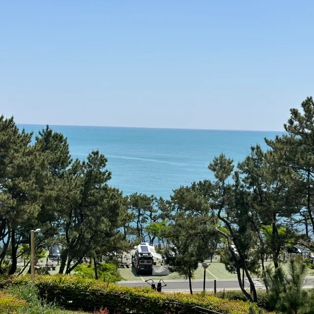 조은서