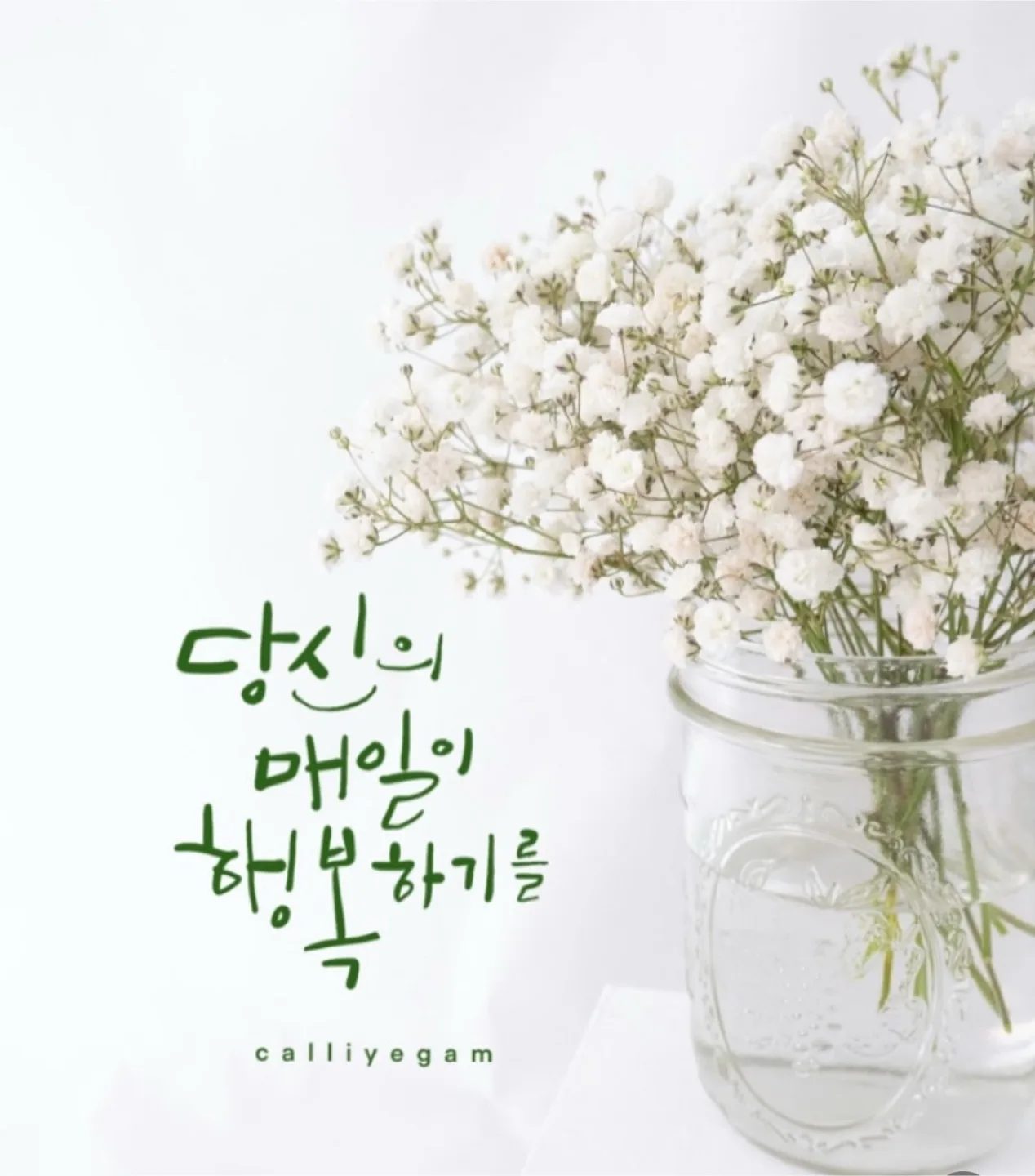 해피데이