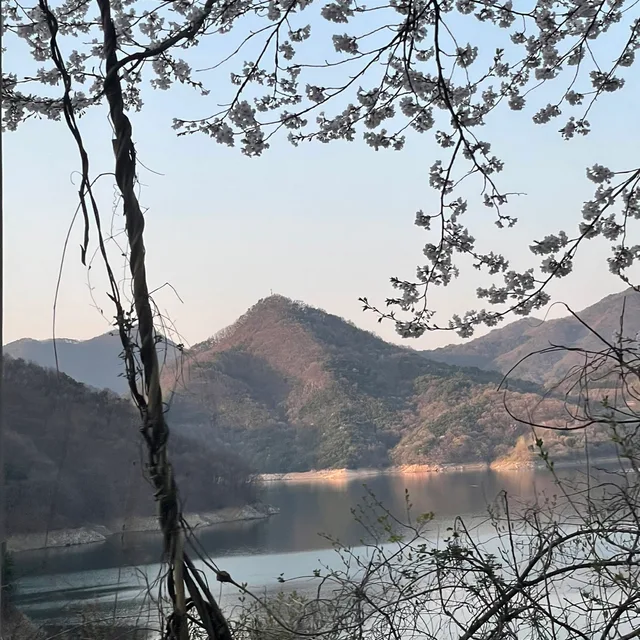송도도도