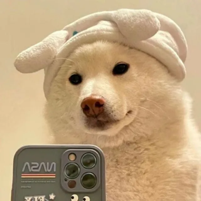 포뇨포뇨