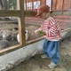 도리치