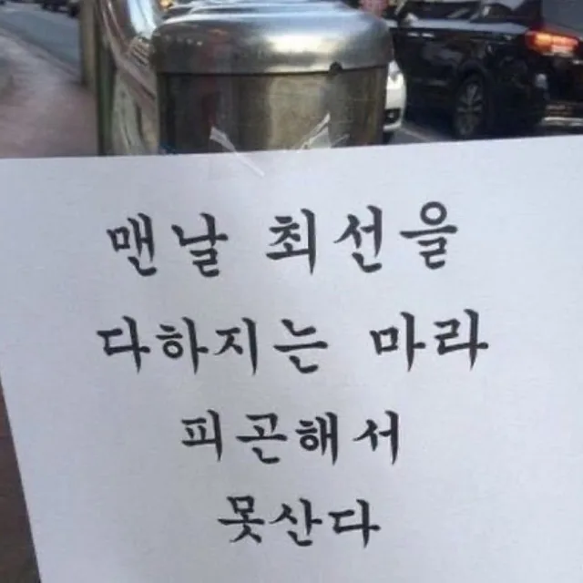 젤티맘