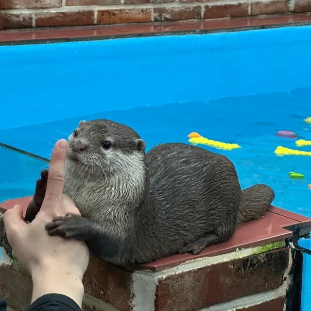 지킴이