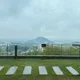 캐럿마켓러