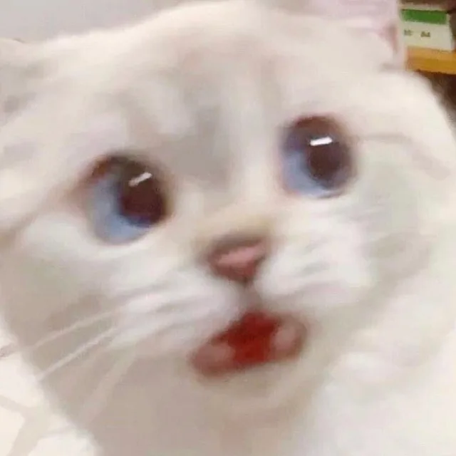 수돌이
