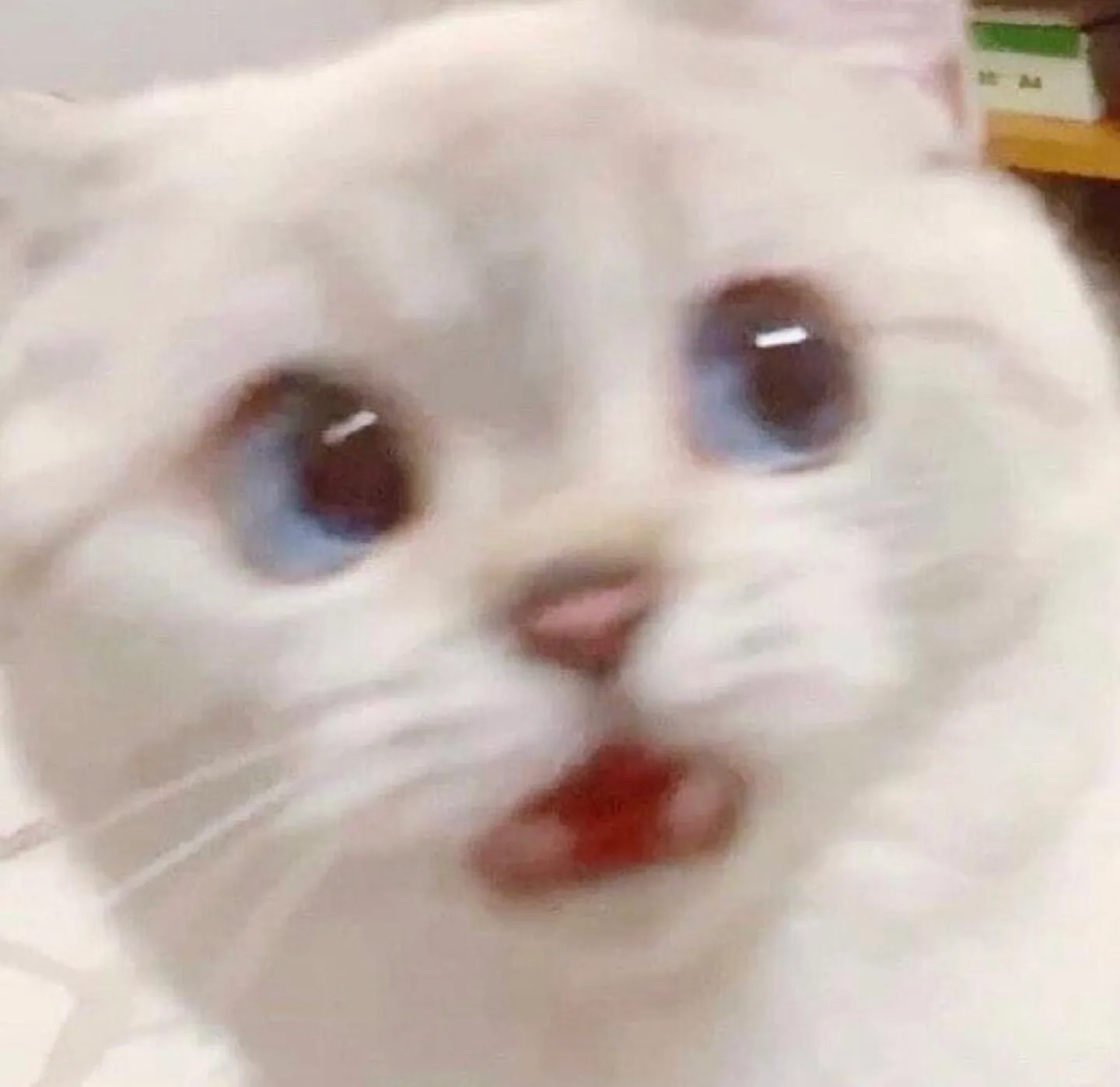 수돌이