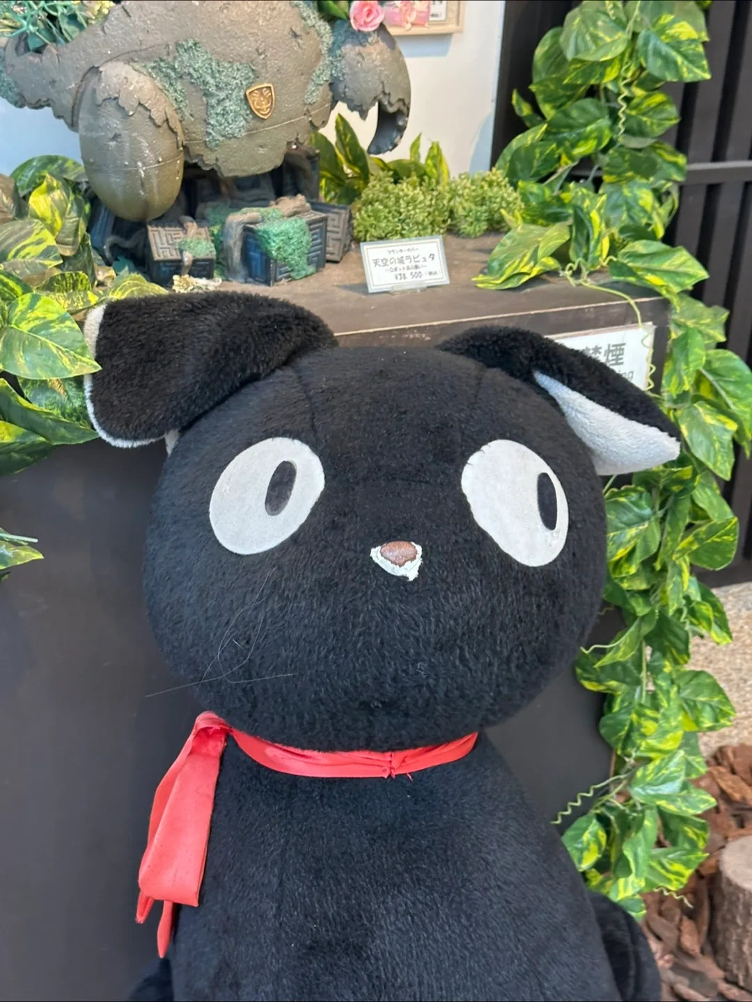 량콩
