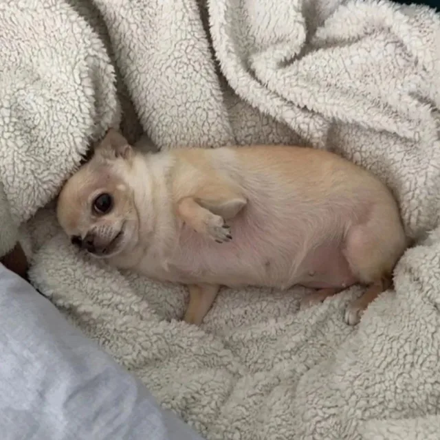 배고파