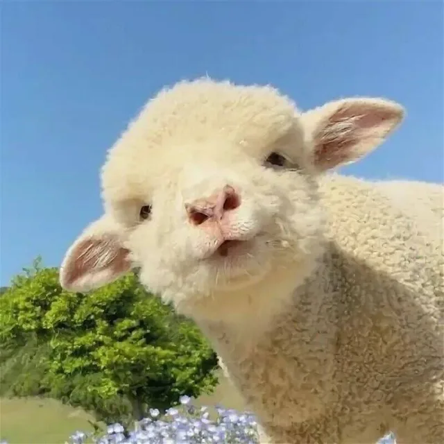 보조배터리