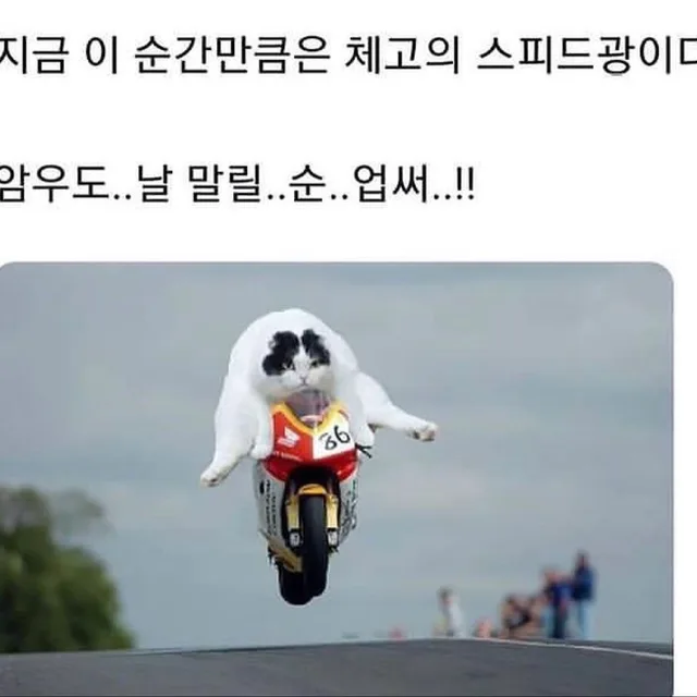 브레이크없는에잇톤트럭