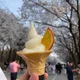 토끼