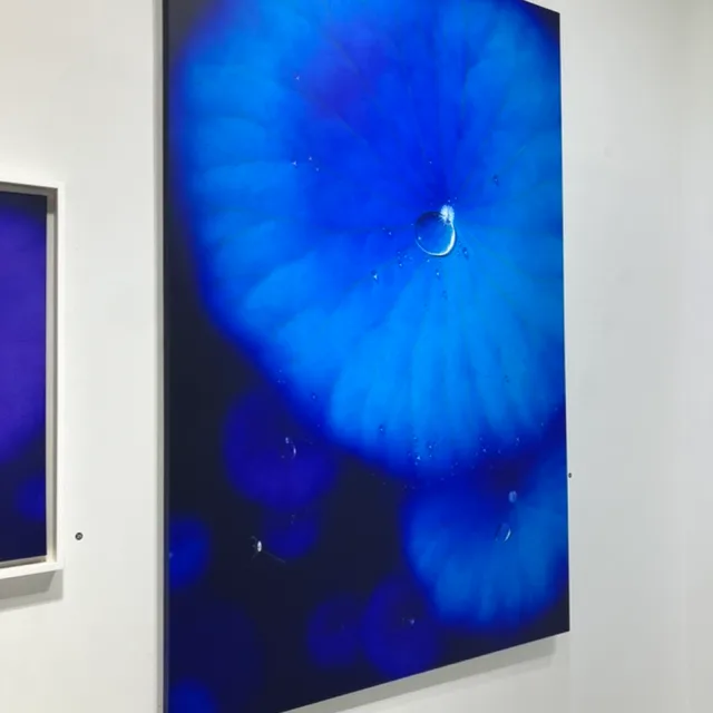 파프리