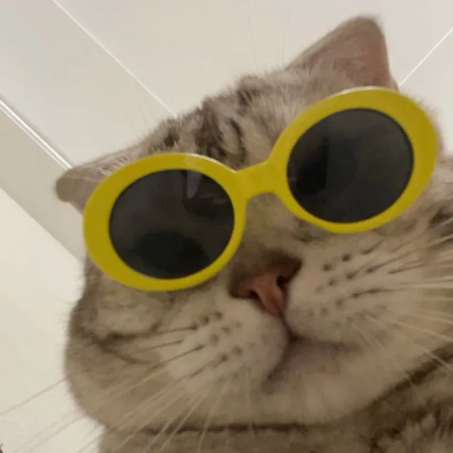 252hee