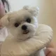 달이할매