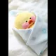 육아중답느림