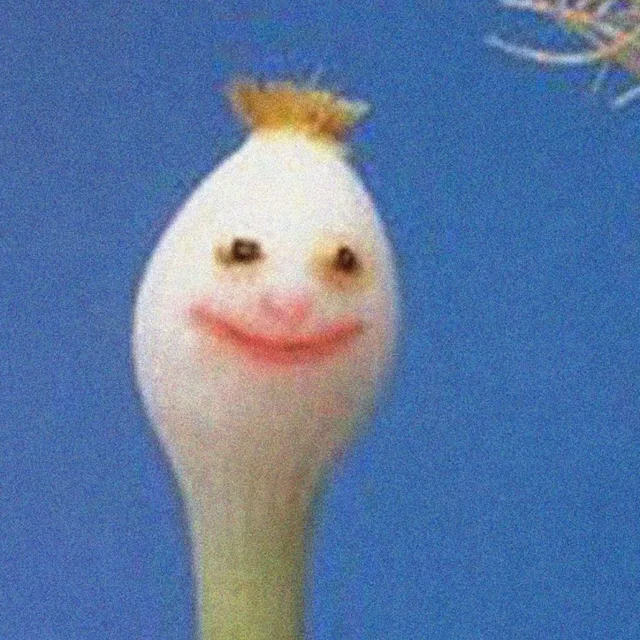 비리빈