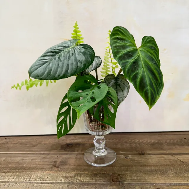초록이