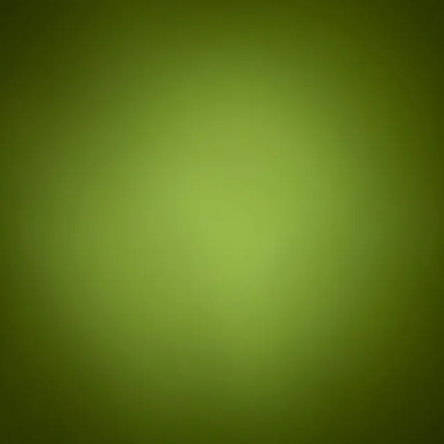 맵시가꾸미