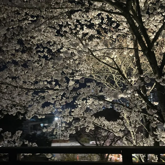 아가야