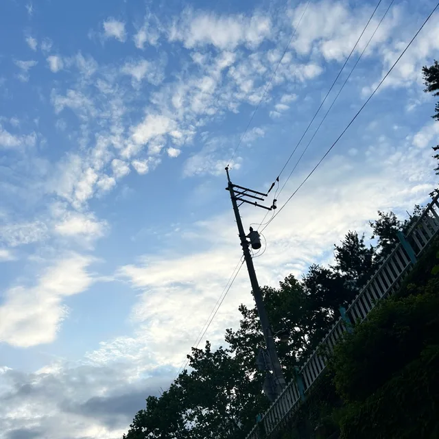 호박