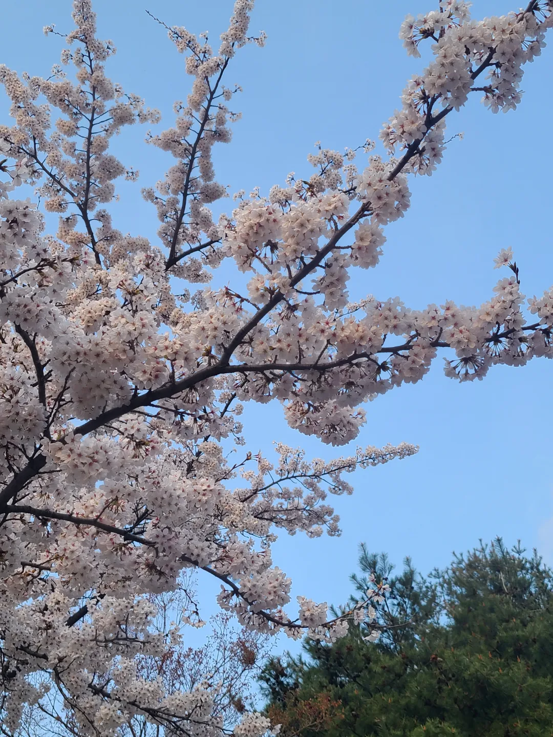 호수물결