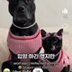 엘라