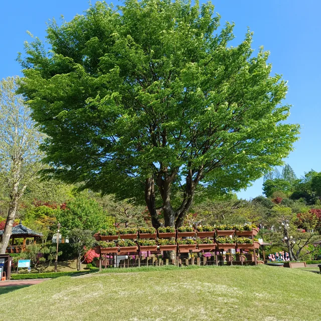 올리벳