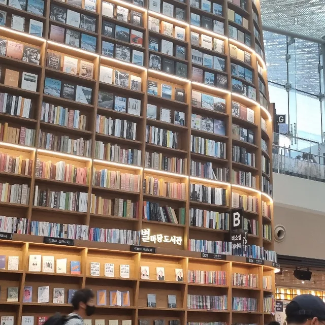 회전목마