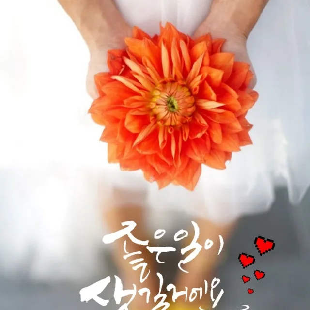 비트