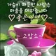 홍주성둘레길