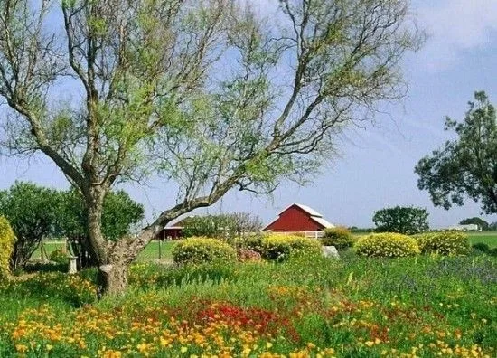 천사의속삭임