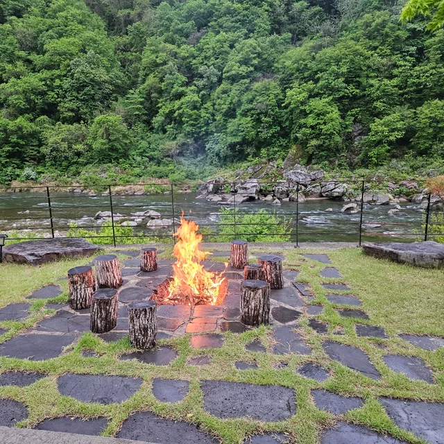 콩새로
