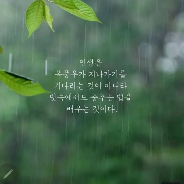 센스맘