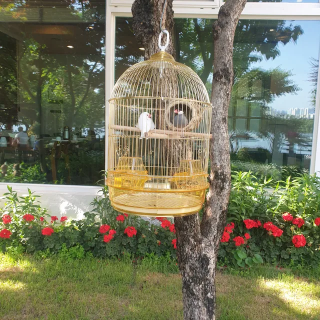 아몬드