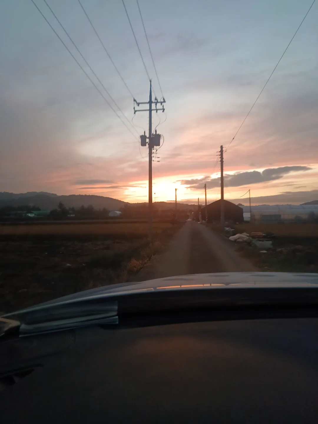 순둥이