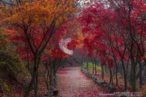 미니멀라이프