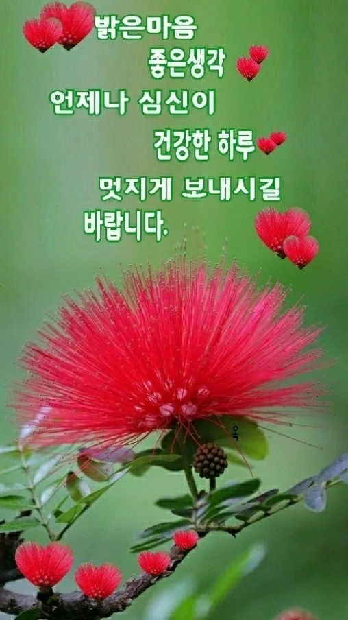 복덩이