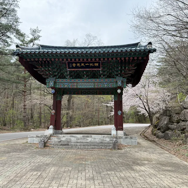 웃자