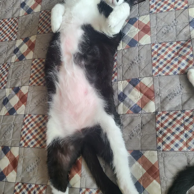 휴강