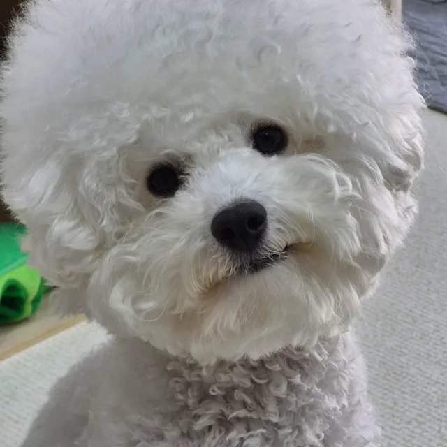 박영재