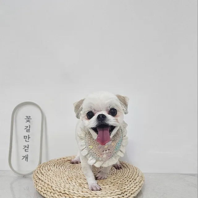 쿨거래