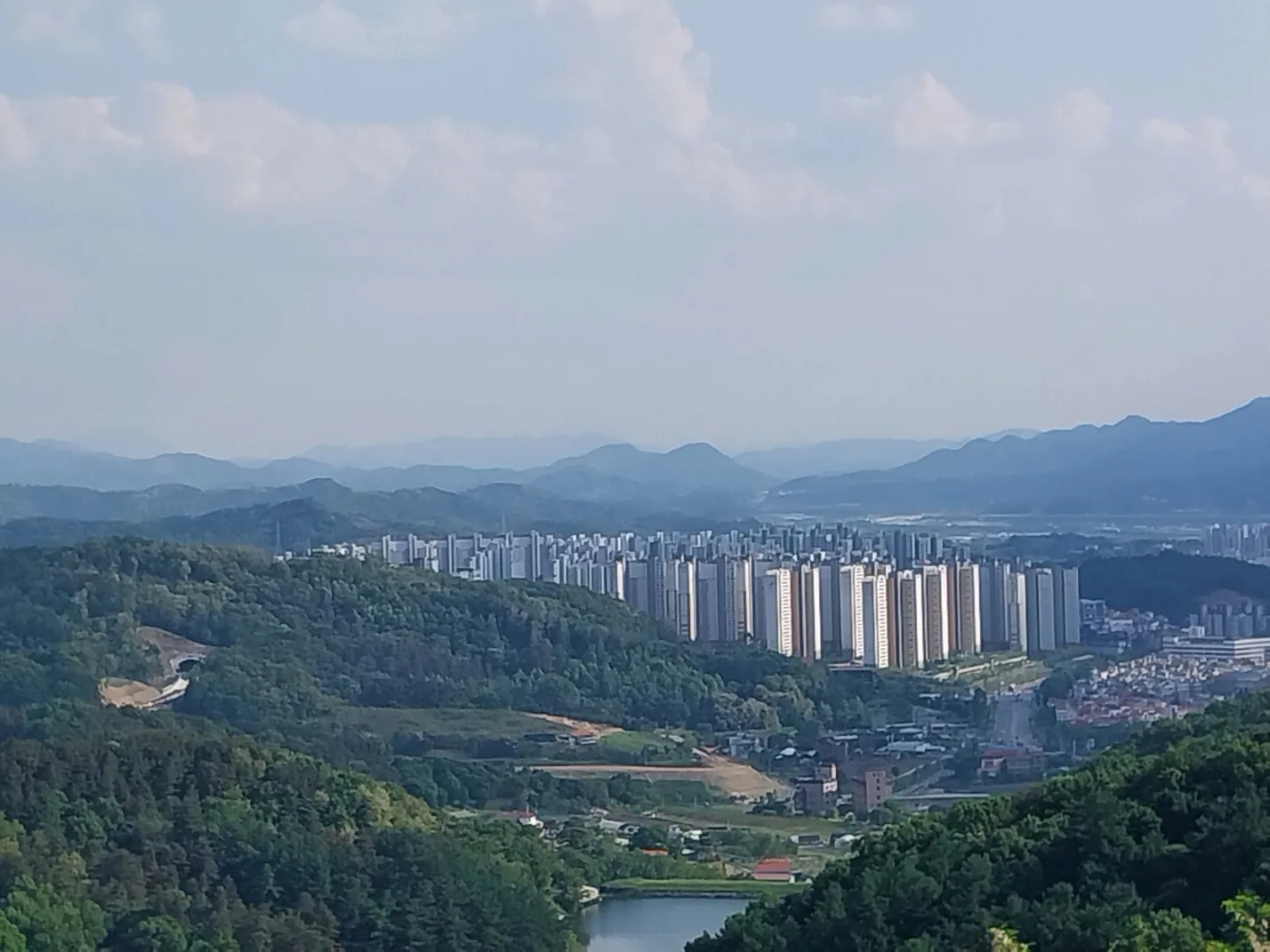 초심