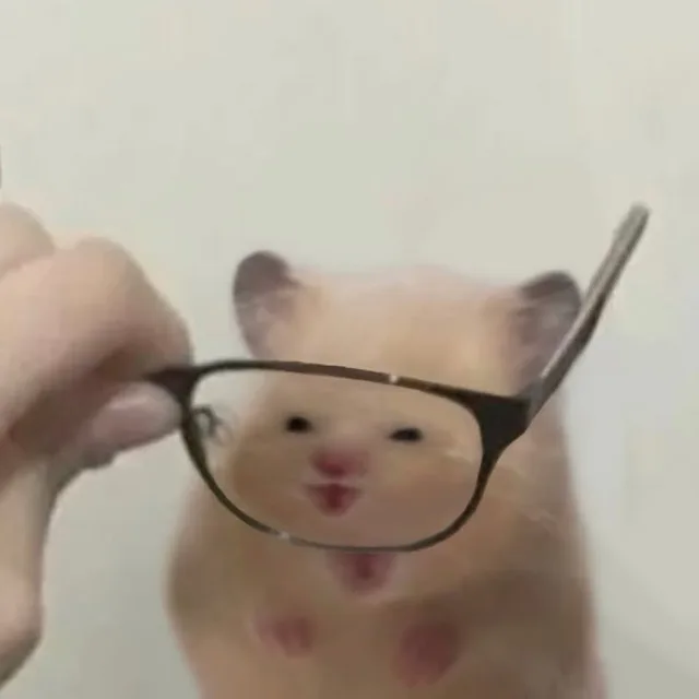 비비