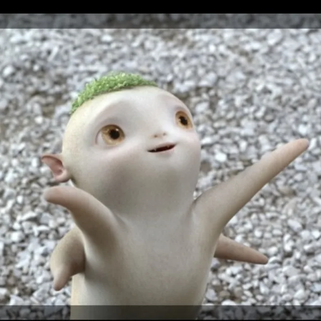 쪼꼬미