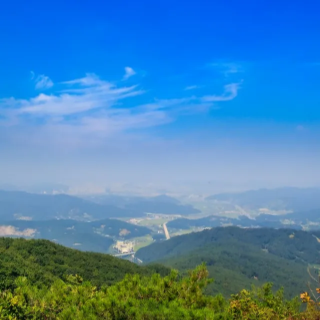 당근이지
