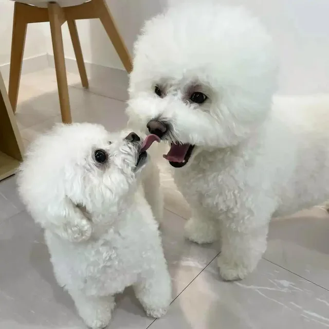 쿈밍