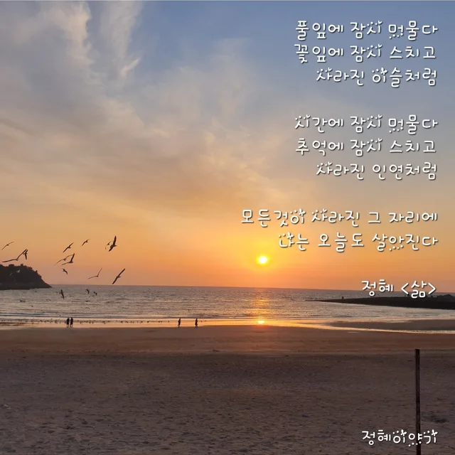 정혜